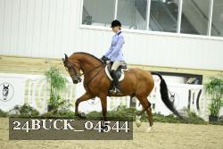24BUCK_04544 thumbnail