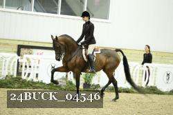 24BUCK_04546 thumbnail
