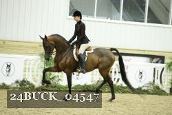 24BUCK_04547 thumbnail