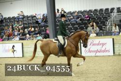 24BUCK_04555 thumbnail
