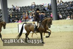 24BUCK_04556 thumbnail