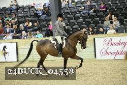 24BUCK_04558 thumbnail