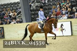 24BUCK_04559 thumbnail