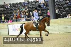 24BUCK_04560 thumbnail