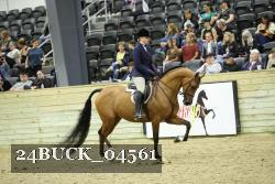 24BUCK_04561 thumbnail
