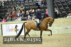 24BUCK_04562 thumbnail