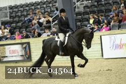 24BUCK_04564 thumbnail