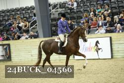 24BUCK_04566 thumbnail