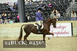 24BUCK_04567 thumbnail
