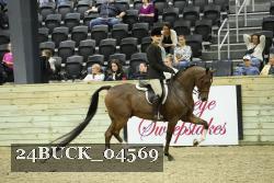 24BUCK_04569 thumbnail