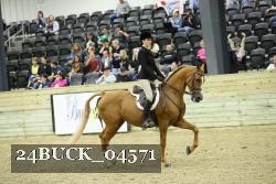 24BUCK_04571 thumbnail