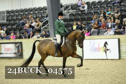 24BUCK_04575 thumbnail