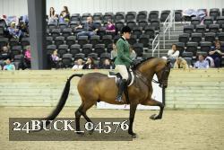 24BUCK_04576 thumbnail