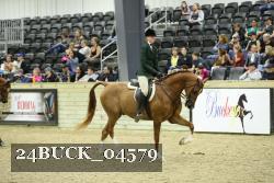 24BUCK_04579 thumbnail