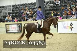 24BUCK_04585 thumbnail