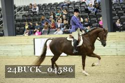 24BUCK_04586 thumbnail