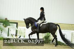 24BUCK_04597 thumbnail