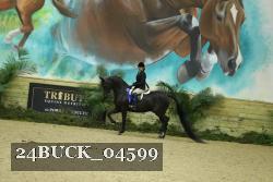 24BUCK_04599 thumbnail