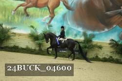 24BUCK_04600 thumbnail