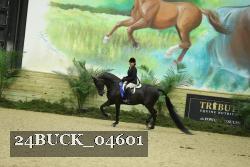 24BUCK_04601 thumbnail