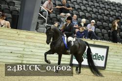 24BUCK_04602 thumbnail