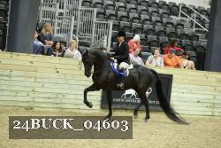 24BUCK_04603 thumbnail
