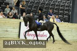 24BUCK_04604 thumbnail