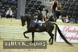 24BUCK_04605 thumbnail