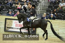 24BUCK_04606 thumbnail