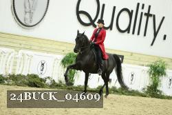 24BUCK_04609 thumbnail
