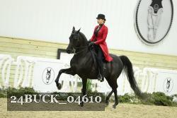 24BUCK_04610 thumbnail