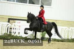 24BUCK_04611 thumbnail