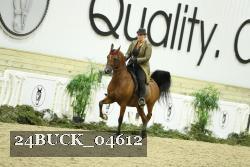 24BUCK_04612 thumbnail