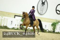 24BUCK_04616 thumbnail