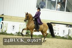 24BUCK_04617 thumbnail