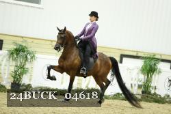 24BUCK_04618 thumbnail