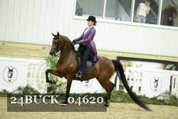 24BUCK_04620 thumbnail