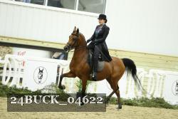 24BUCK_04622 thumbnail