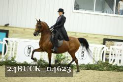 24BUCK_04623 thumbnail