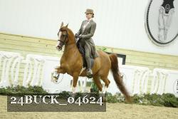 24BUCK_04624 thumbnail
