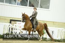 24BUCK_04628 thumbnail