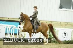 24BUCK_04629 thumbnail