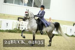 24BUCK_04635 thumbnail