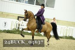 24BUCK_04637 thumbnail