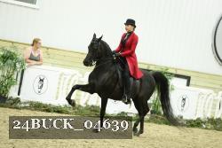 24BUCK_04639 thumbnail
