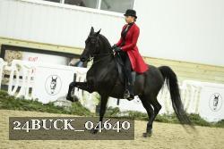 24BUCK_04640 thumbnail