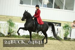 24BUCK_04641 thumbnail