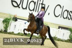 24BUCK_04643 thumbnail
