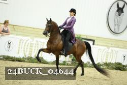24BUCK_04644 thumbnail