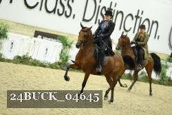 24BUCK_04645 thumbnail